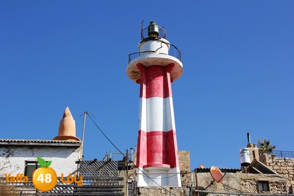 mina2 yaffaj343 (4).JPG